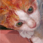 猫のいる幸せ